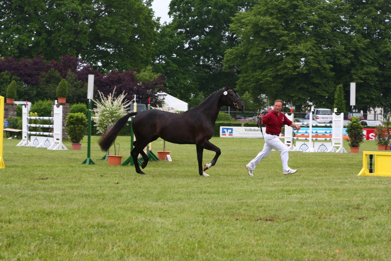 Bild 64 - Elmshorn am 9.6.10